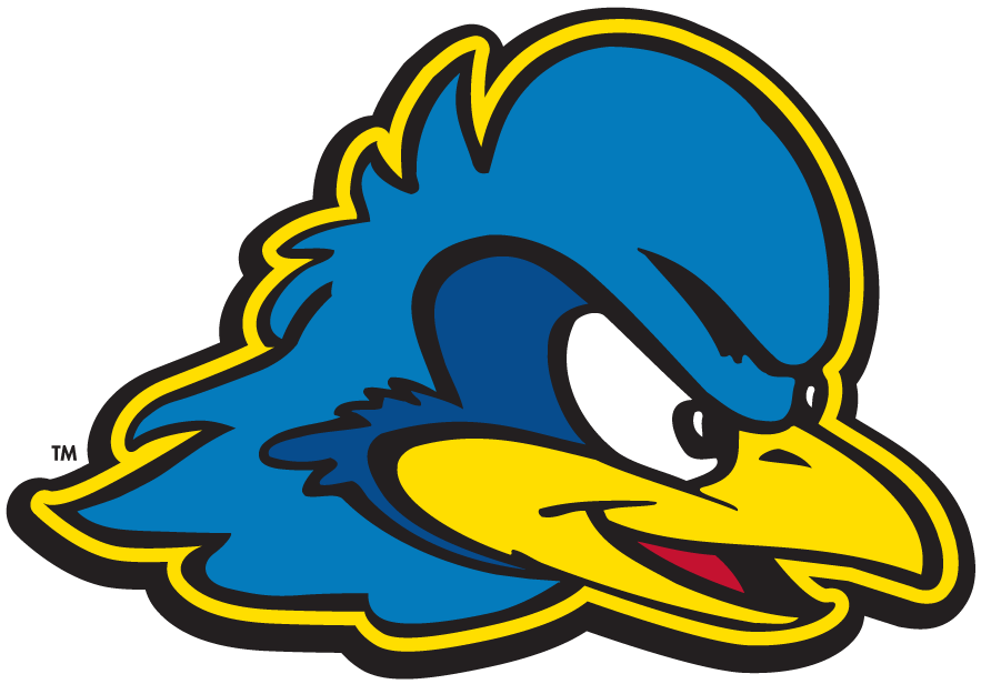 Delaware Blue Hens 2009-Pres Secondary Logo v2 iron on transfers for T-shirts